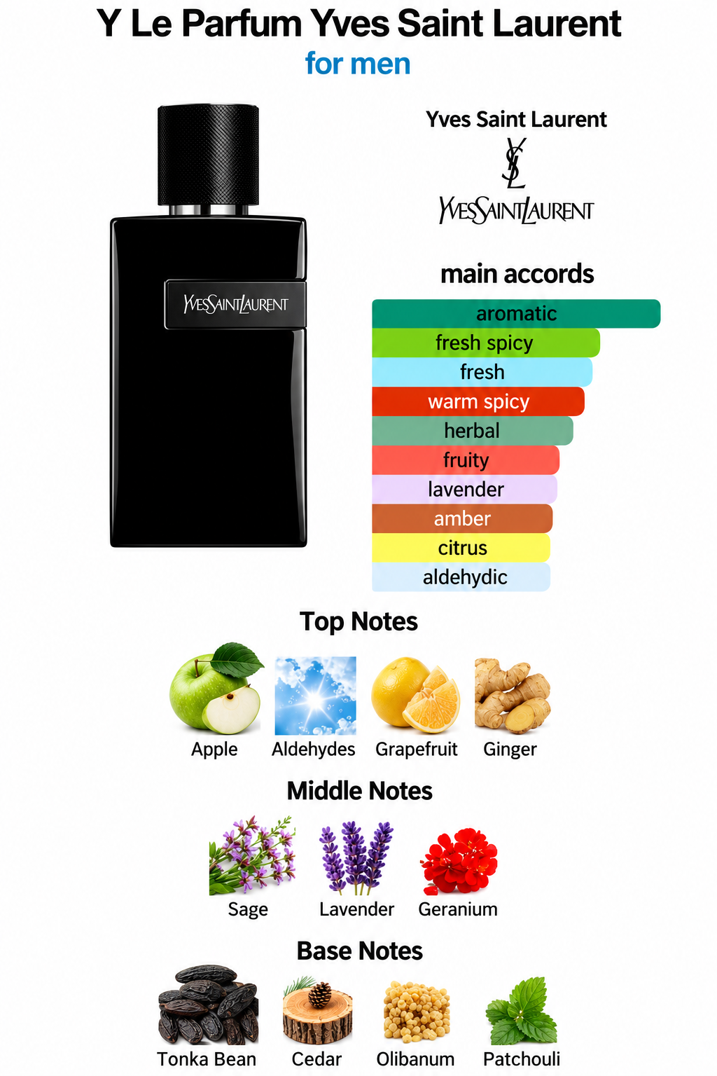 Yves Saint Laurent: Y Le Parfum